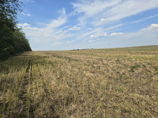 Купить  участок