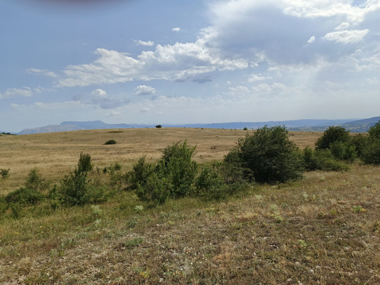 Купить  участок