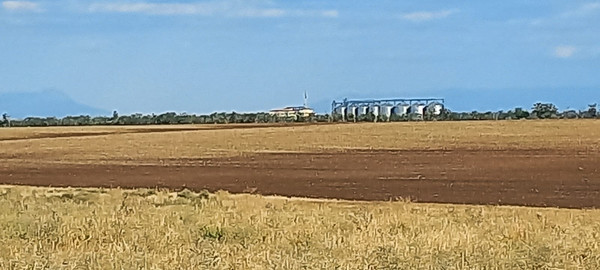 Купить  участок