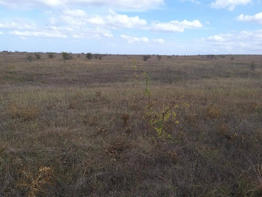 Купить  участок