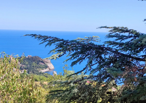 Купить  участок