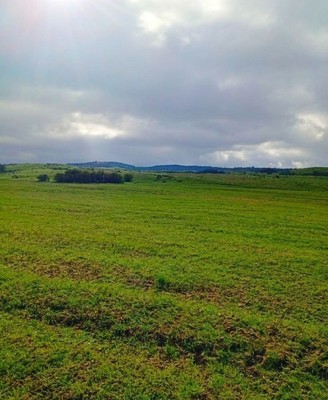 Купить  участок