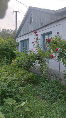 Купить  дом