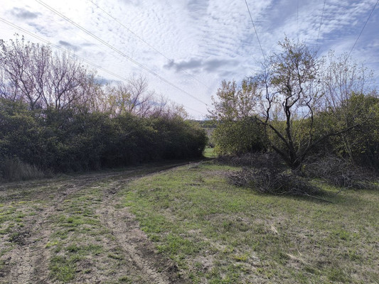 Купить  участок