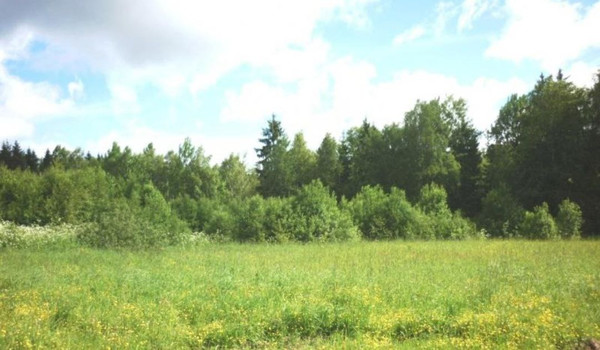 Купить  участок