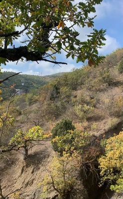 Купить  участок