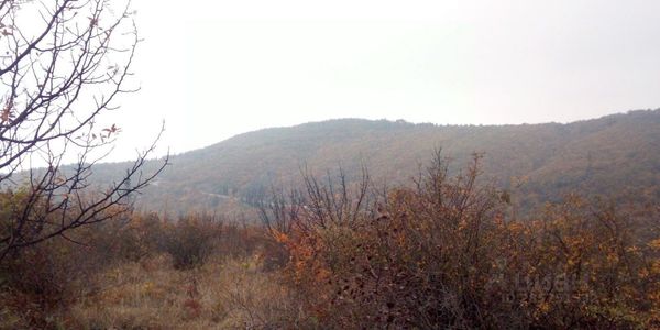 Купить  участок