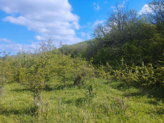 Купить  участок