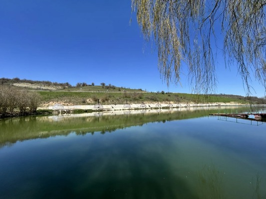 Купить  дом