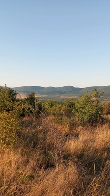 Купить  участок